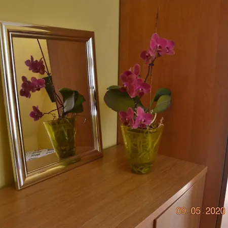 Wiktoria 2 * Zakopane